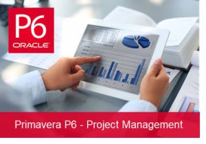 Primavera P6